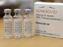 Novavax Wins FDA Approval For COVID-19 Vaccine: Retail Calls For Buyback And Bigger Moves