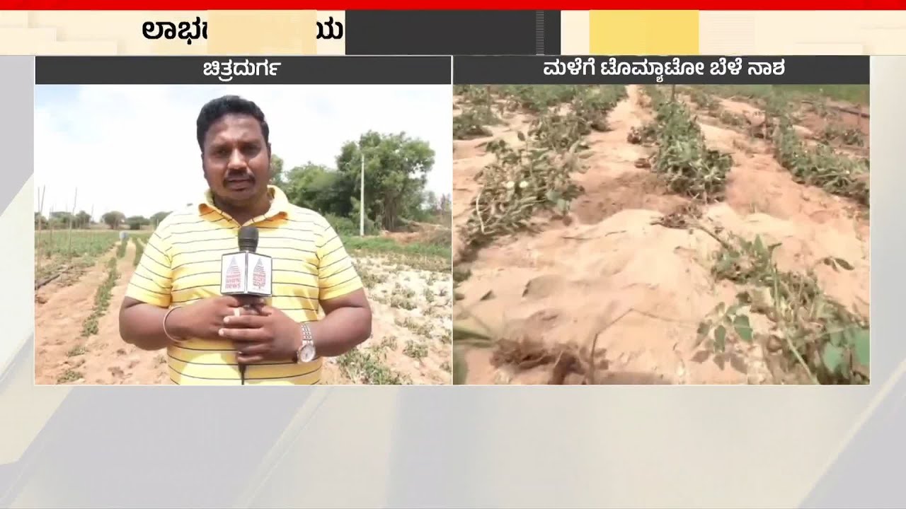 ಮಳೆ ಅಬ್ಬರಕ್ಕೆ ಕೋಟೆನಾಡು ಚಿತ್ರದುರ್ಗ ತತ್ತರ