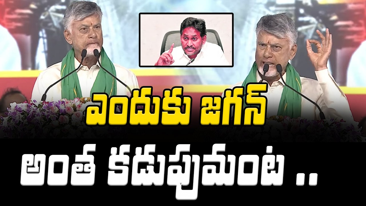 CM Chandrababu Sensational Comments On YS Jagan | Asianet Telugu