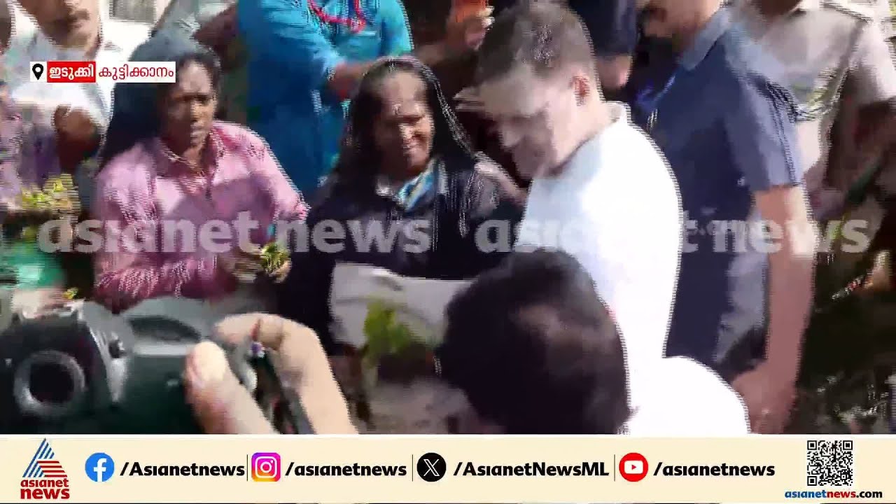 തേയില തോട്ടത്തിലേക്ക് രാഹുല്‍ ഗാന്ധിയുടെ സര്‍പ്രൈസ് എന്‍ട്രി; അമ്പരന്ന് തൊഴിലാളികള്‍