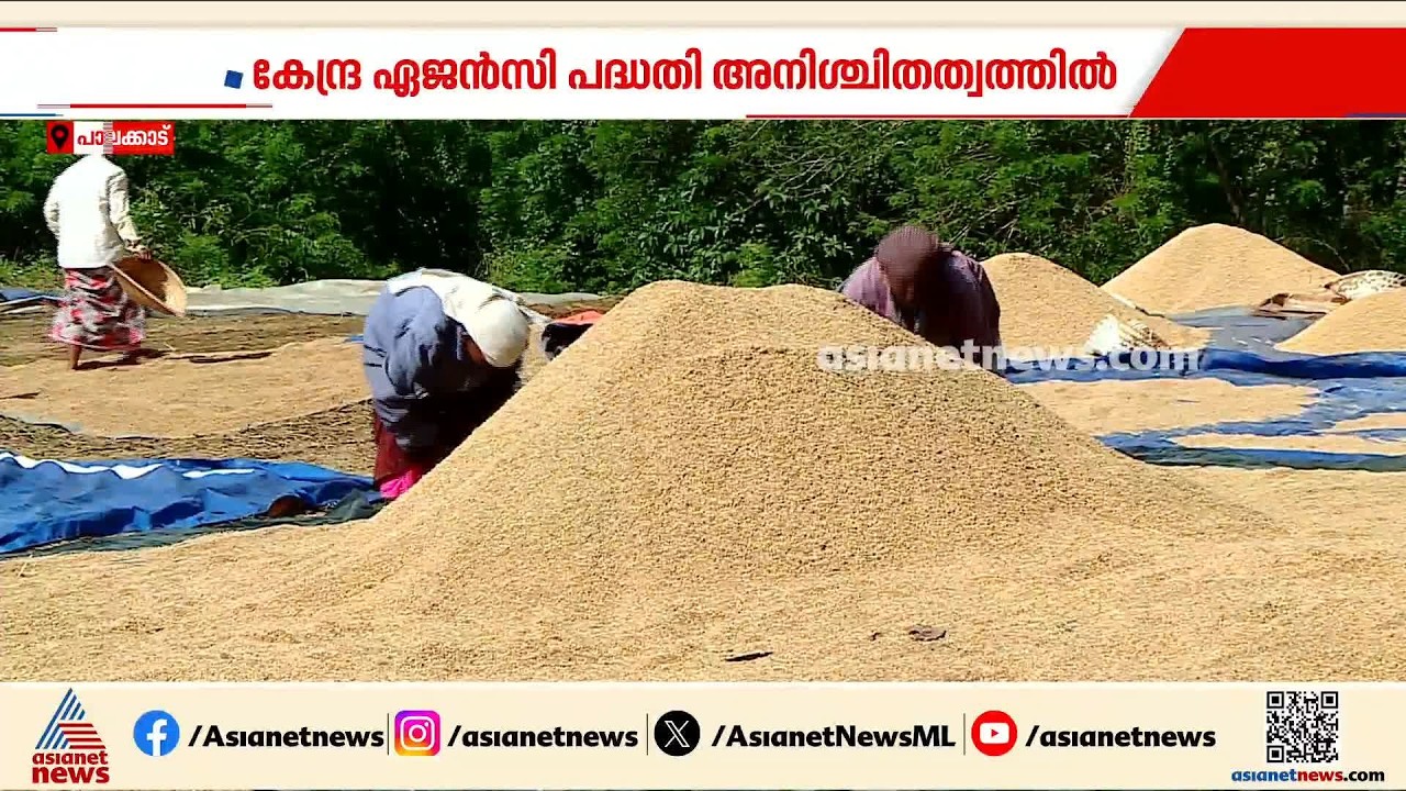 കേരളത്തിലെ കർഷകരിൽ നിന്ന് നേരിട്ട് നെല്ല് സംഭരിക്കാനുള്ള കേന്ദ്ര ഏജൻസി പദ്ധതി പ്രതിസന്ധിയിൽ