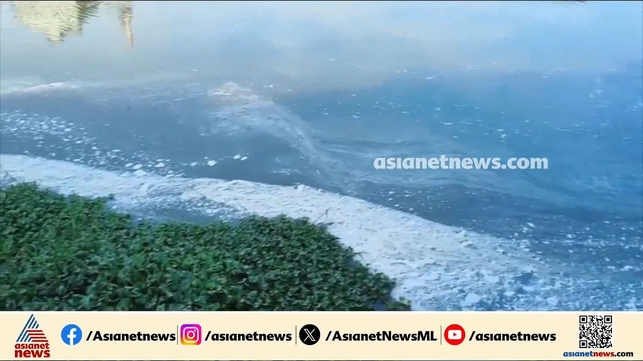 'ഈ മാലിന്യമാണ് ഞങ്ങൾ കുടിക്കുന്നത്'; വ്യവസായ മാലിന്യം പെരിയാറിൽ തളളുന്നതായി പരാതി| Periyar