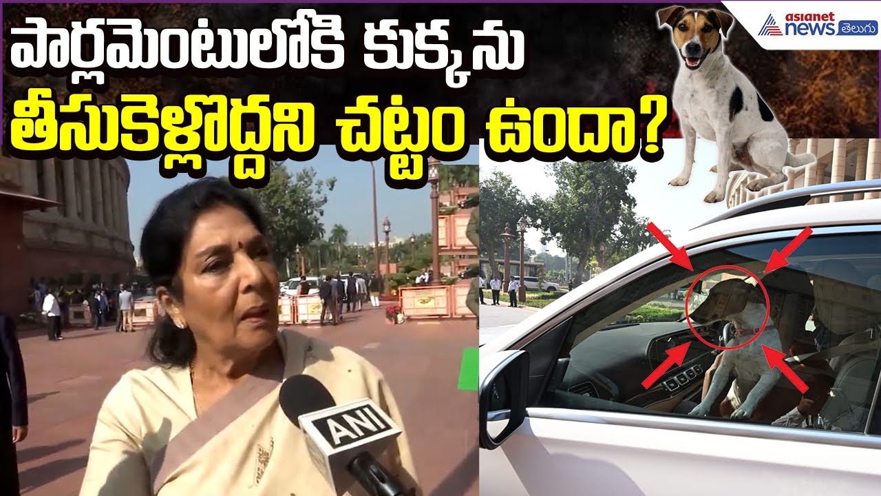 Renuka Chowdhury Comments: పార్లమెంటులోకి కుక్కను తీసుకెళ్లొద్దని చట్టం ఉందా? | Asianet News Telugu