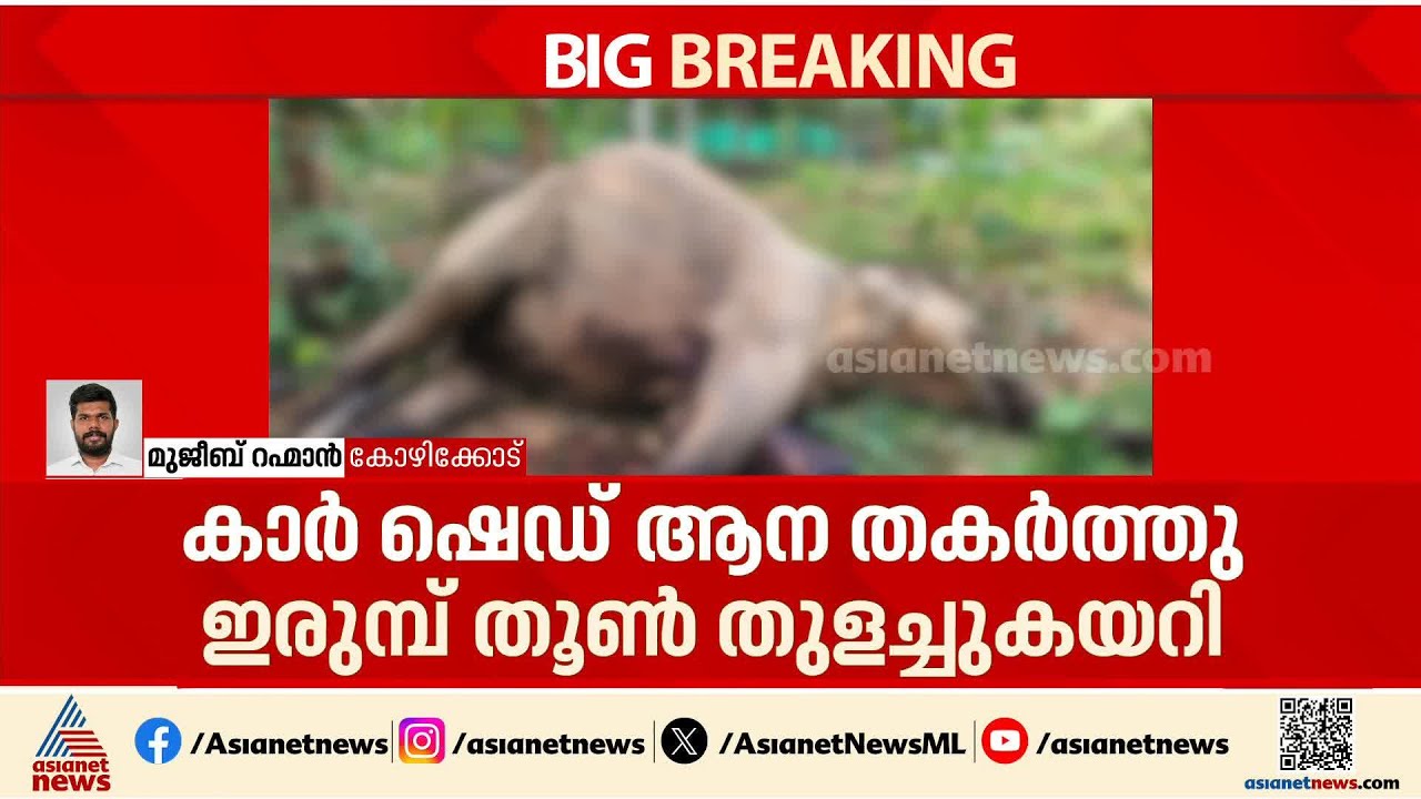 കാർ ഷെഡ് തകർത്ത ആനയുടെ ശരീരത്തിൽ ഇരുമ്പ് തൂൺ തുളച്ചുകയറി; കാട്ടാന ചെരിഞ്ഞത് ഇങ്ങനെ