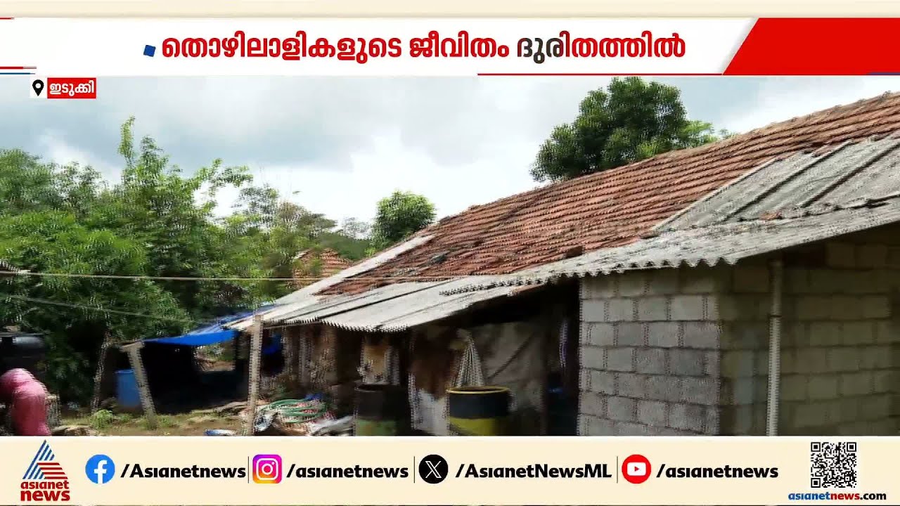 കാലപ്പഴക്കം ചെന്ന ലയങ്ങൾ എപ്പോൾ താഴെ വീഴുമെന്ന പേടിയിൽ ഇടുക്കിയിലെ തേയിലത്തോട്ടങ്ങളിലെ തൊഴിലാളികൾ