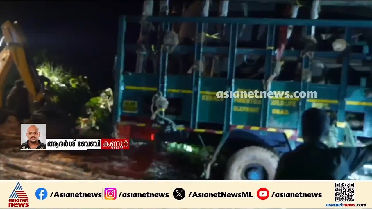 ആറളത്ത് നിന്ന് പിടികൂടിയ കെഎം-1 മോഴയാനയെ വയനാട്ടിലെത്തിച്ചു