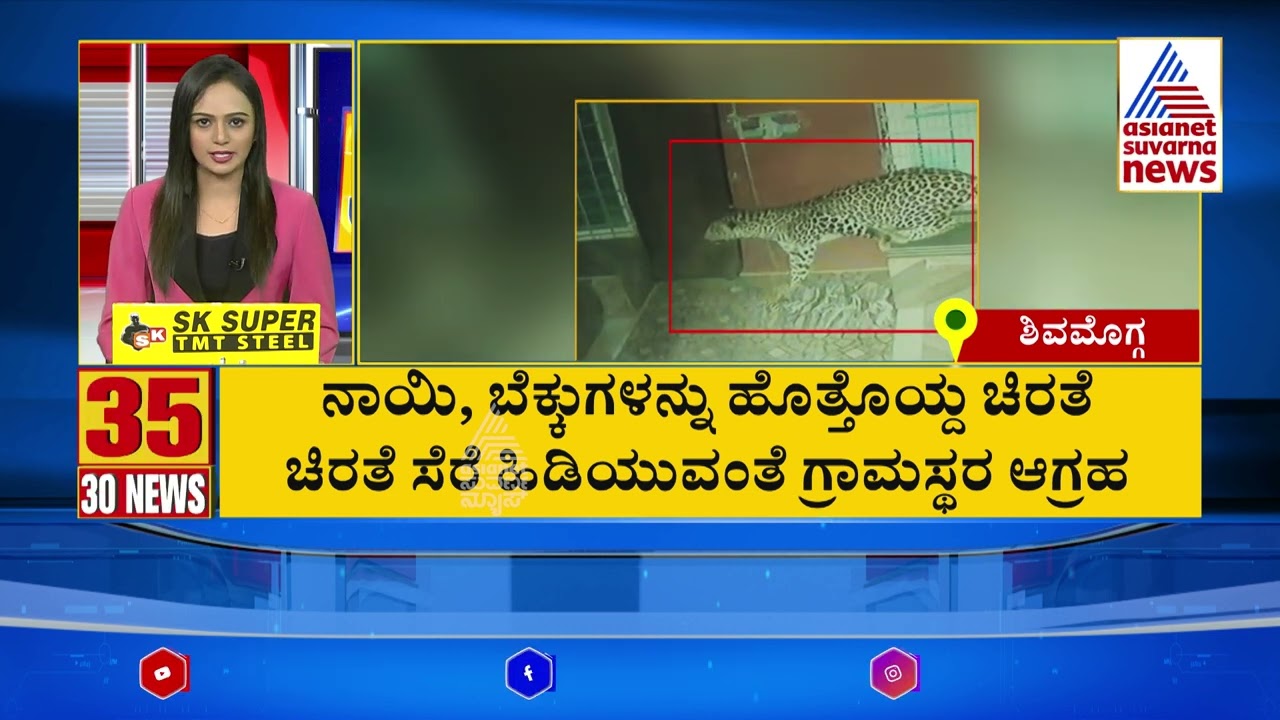 ನಾಯಿ, ಬೆಕ್ಕುಗಳನ್ನು ಹೊತ್ತೊಯ್ದ ಚಿರತೆ