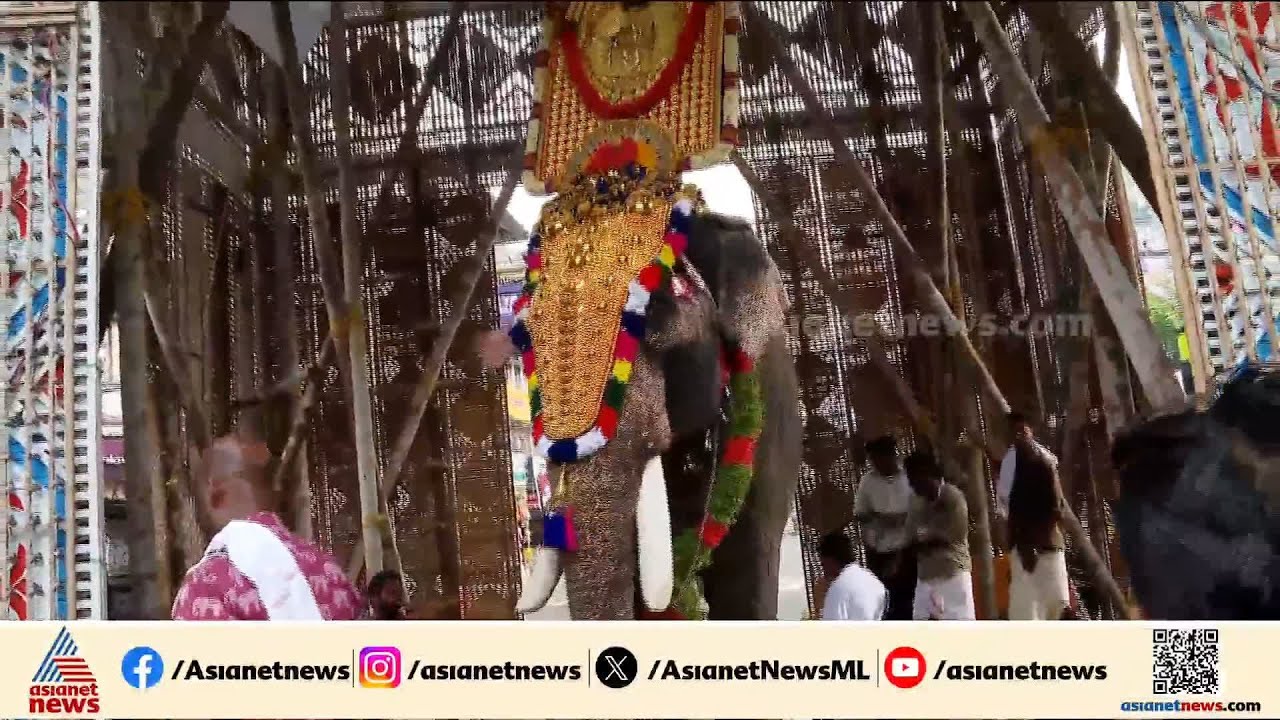 പകൽ പൂരത്തിനായുള്ള ഒരുക്കങ്ങൾ സജ്ജം; ഇന്ന് ശക്തന്റെ തട്ടകത്തിൽ പൂരം ഉപചാരം ചൊല്ലി പിരിയും
