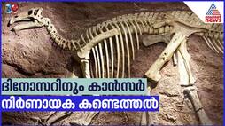 Dinosaur Fossil Reveals Evidence of Cancer