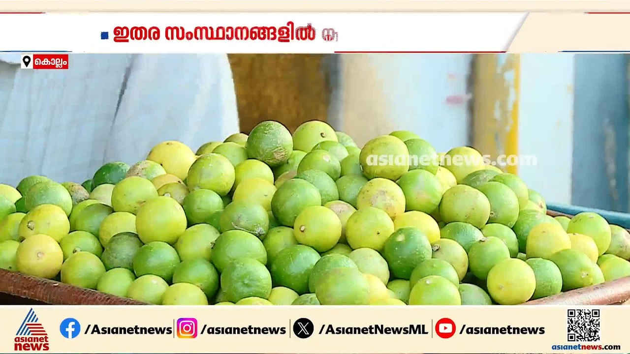 സംസ്ഥാനത്ത് ചെറുനാരങ്ങ വില കുതിച്ചുയരുന്നു; ഇതര സംസ്ഥാനങ്ങളിൽ നിന്ന് വരവ് കുറഞ്ഞു