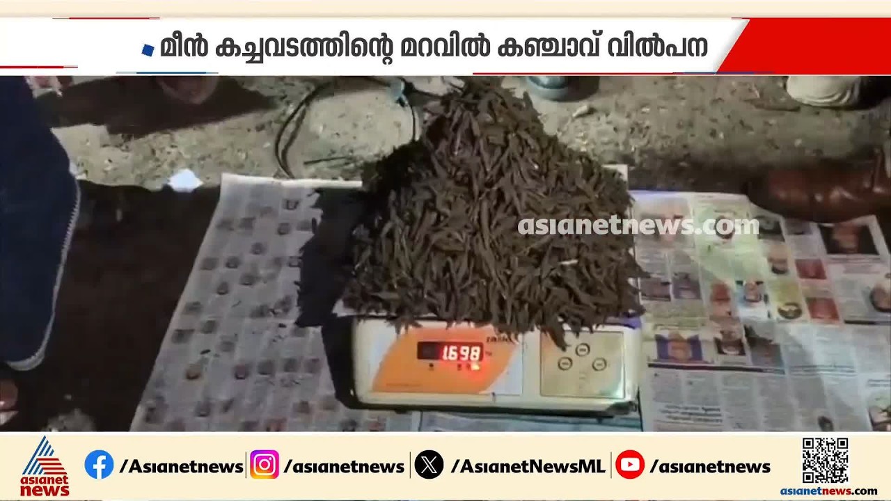 ഫ്രഷ് മീനിനൊപ്പം ഫ്രഷ് കഞ്ചാവും; മീൻകച്ചവടത്തിന്റെ മറവിൽ കച്ചാവ് വിൽപ്പന നടത്തിയയാൾ പിടിയിൽ
