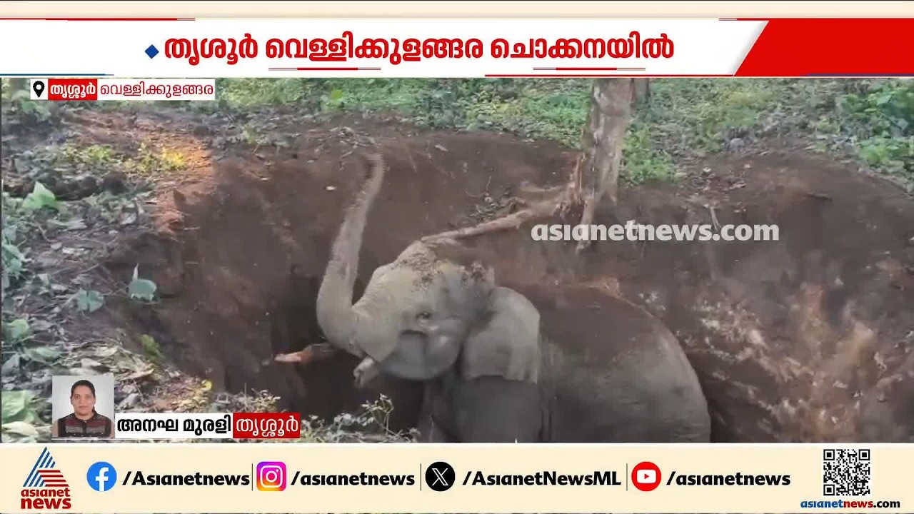 തൃശൂരിൽ കുട്ടിയാന പൊട്ടകിണറ്റിൽ വീണു; രക്ഷാപ്രവർത്തനം തുടരുന്നു
