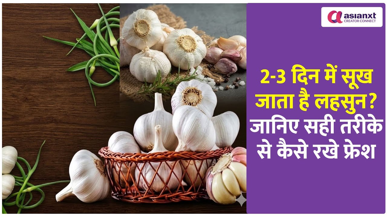 2-3 दिन में सूख जाता है लहसुन? जानिए सही तरीके से कैसे रखें फ्रेश