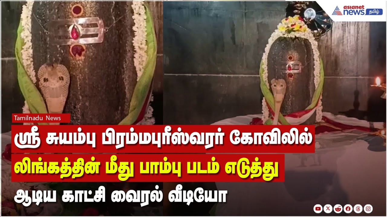 லிங்கத்தின் மீது பாம்பு படம் எடுத்து ஆடிய காட்சி..பக்தர்கள் நெகிழ்ச்சி
