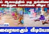 Pongal Celebrated: Interfaith Harmony at Sai Temple