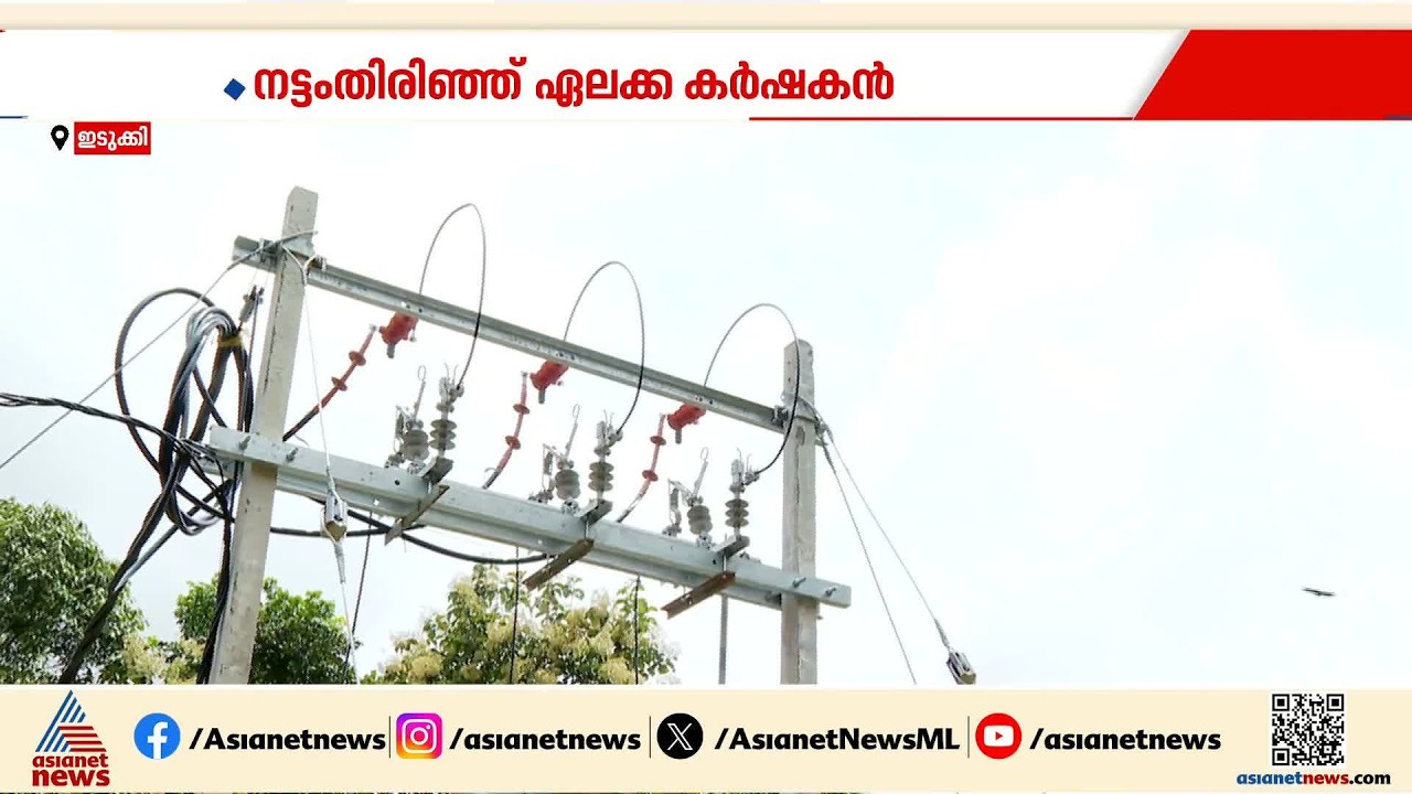 ഇലക്ട്രിക് ഡ്രയറുകൾ സഥാപിക്കുന്നതിൽ കെഎസ്ഇബി അനാവശ്യമായി കാലതാമസം വരുത്തുന്നു; വളഞ്ഞ് ഏലക്ക കർഷകർ