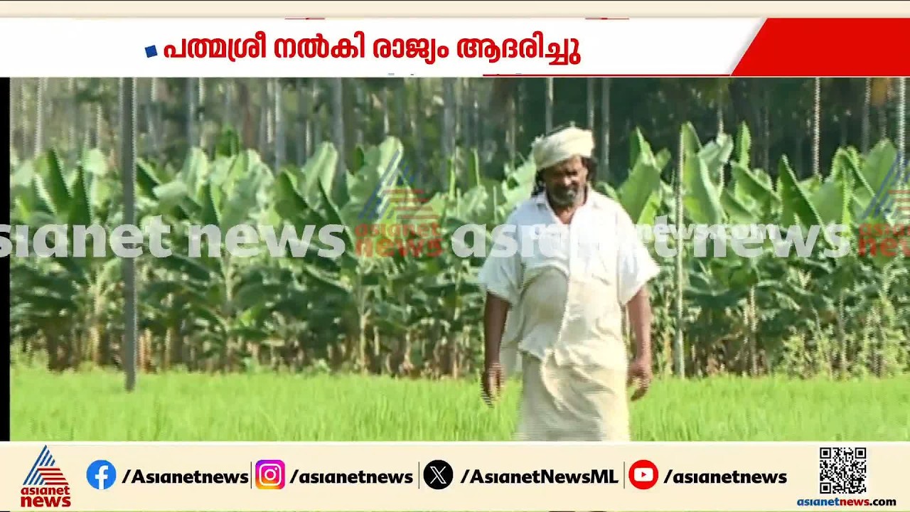 നെല്ലച്ചൻ ചെറുവയൽ രാമൻ വിടവാങ്ങി | Cheruvayal Raman Passed Away | Wayanad | Grains Conservation