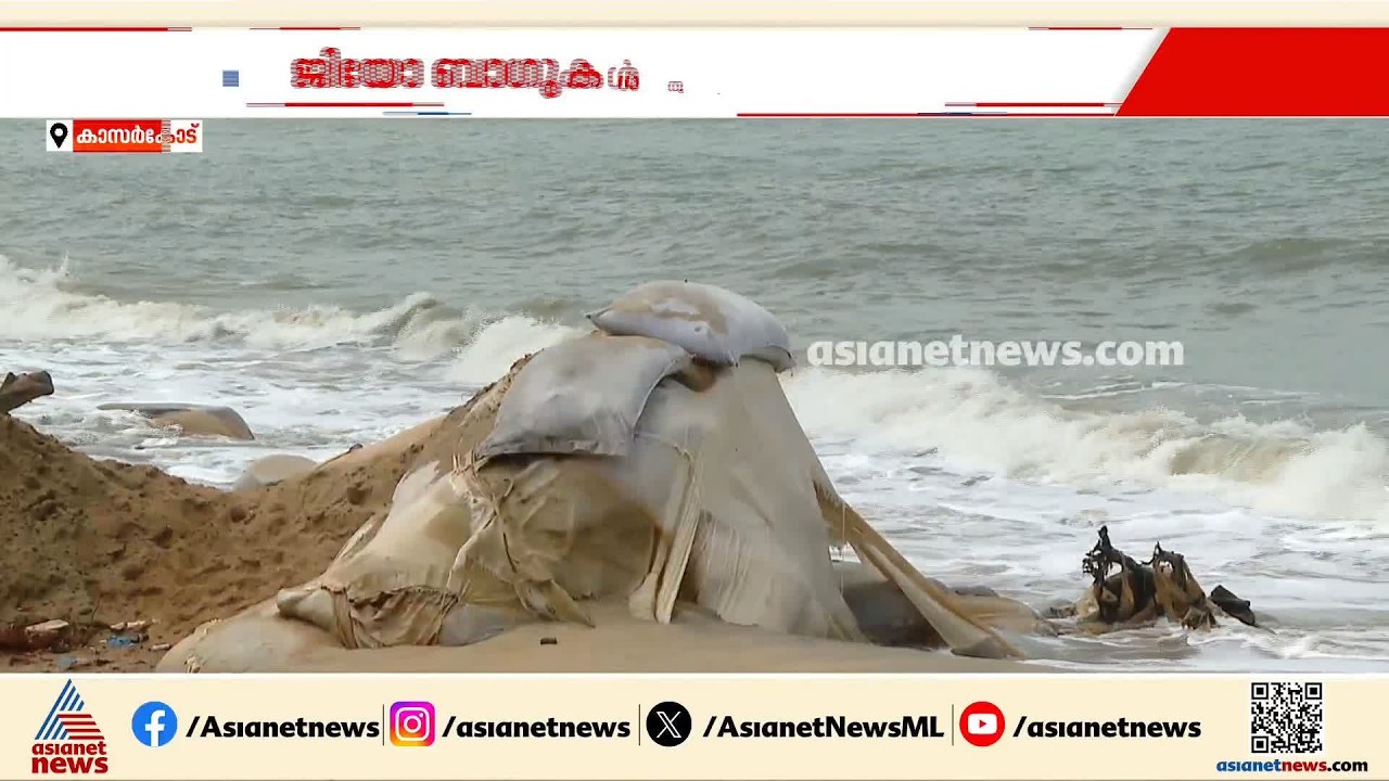 കാസർകോട് പെരിങ്കടിയിലെ കടൽക്ഷോഭം; ആശങ്കയിൽ പ്രദേശവാസികൾ