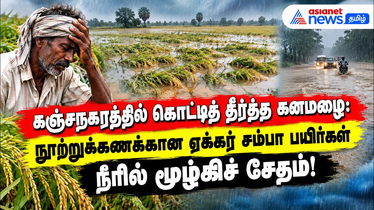 கஞ்சநகரத்தில் கொட்டித் தீர்த்த கனமழை: நூற்றுக்கணக்கான ஏக்கர் சம்பா பயிர்கள் நீரில் மூழ்கிச் சேதம்!