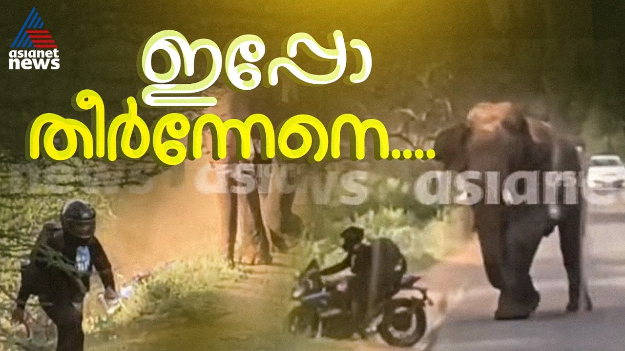 അയ്യോ...ഓടിക്കോ... മുന്നിൽ ആന; ബൈക്കിട്ട് ഓടി രക്ഷപ്പെട്ട് യുവാവ്