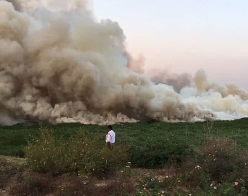 Bellandur lake: NGT cracks down on fire, encroachment