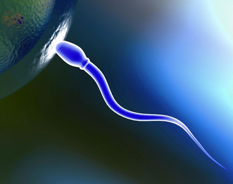 A Smartphone Can Accurately Test Sperm Count