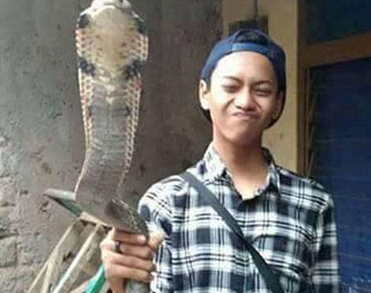 Boy dies after being bitten by his venomous pet cobra