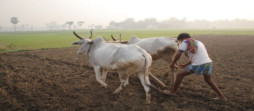 using summer-rain-summer-plowed-soil-and-water-resource