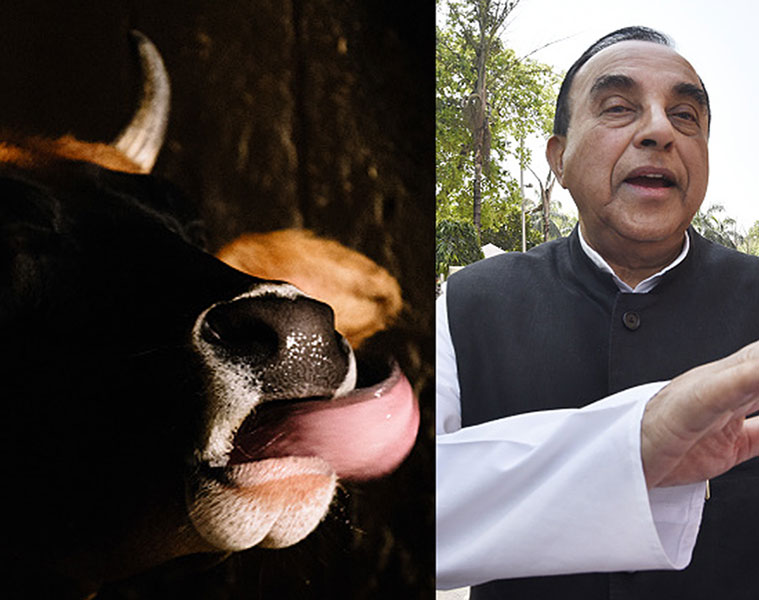 Hang those who kill cows says Subramanian Swamy in Kolar will this be applicable to Goa