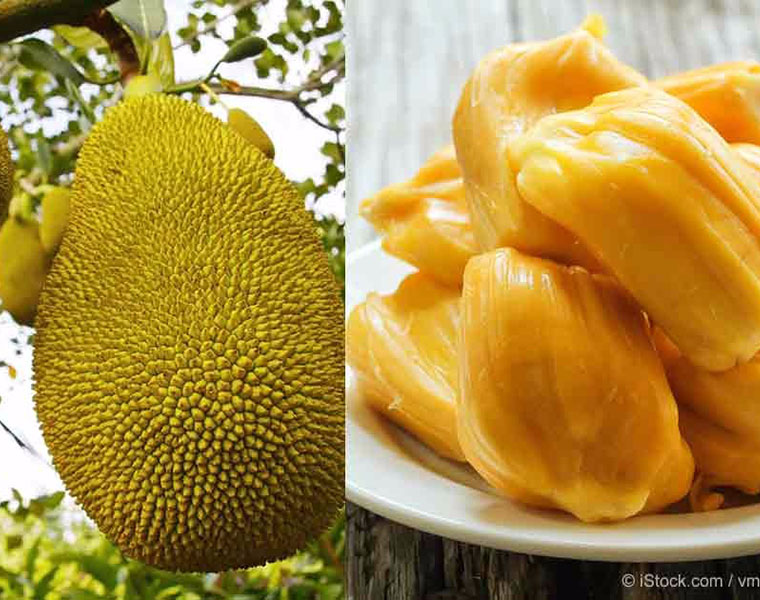 uses of jack fruit exspecially in mens