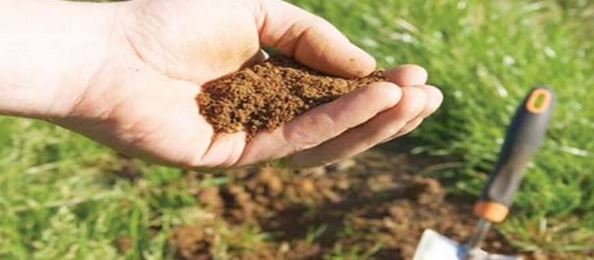 you need-to-know-about-the-fertility-of-the-soil-why