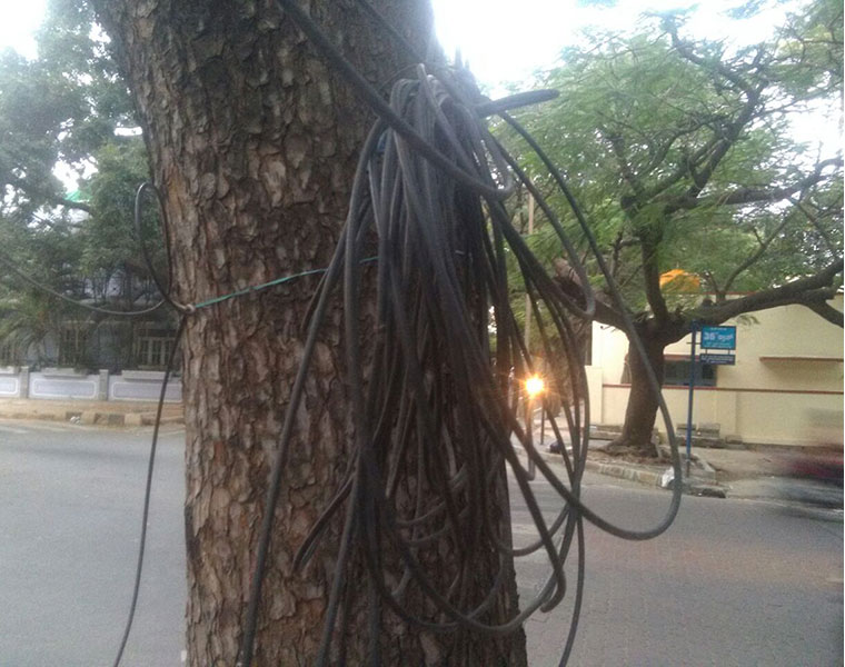 BBMP cracks a whip on cable mafia cuts overhanging internet cables in city