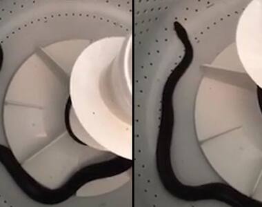 You will never do a load of laundry if you watch this video