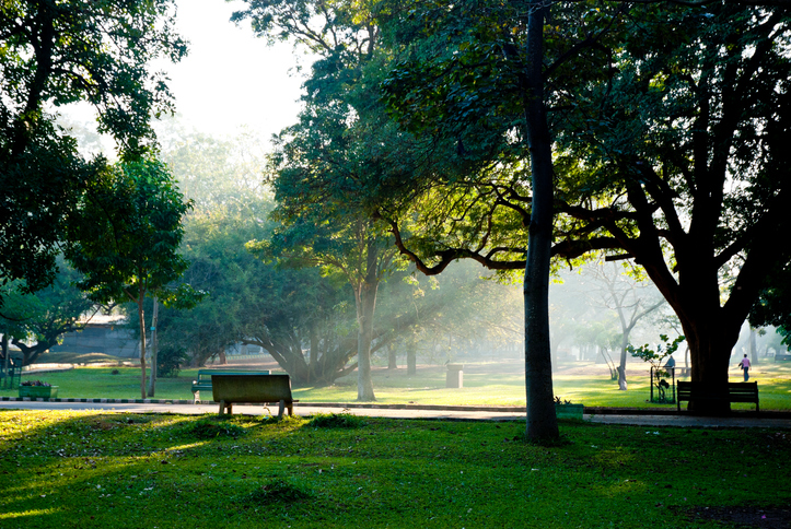 Davanagere DC restricts having food in District Hospital Park