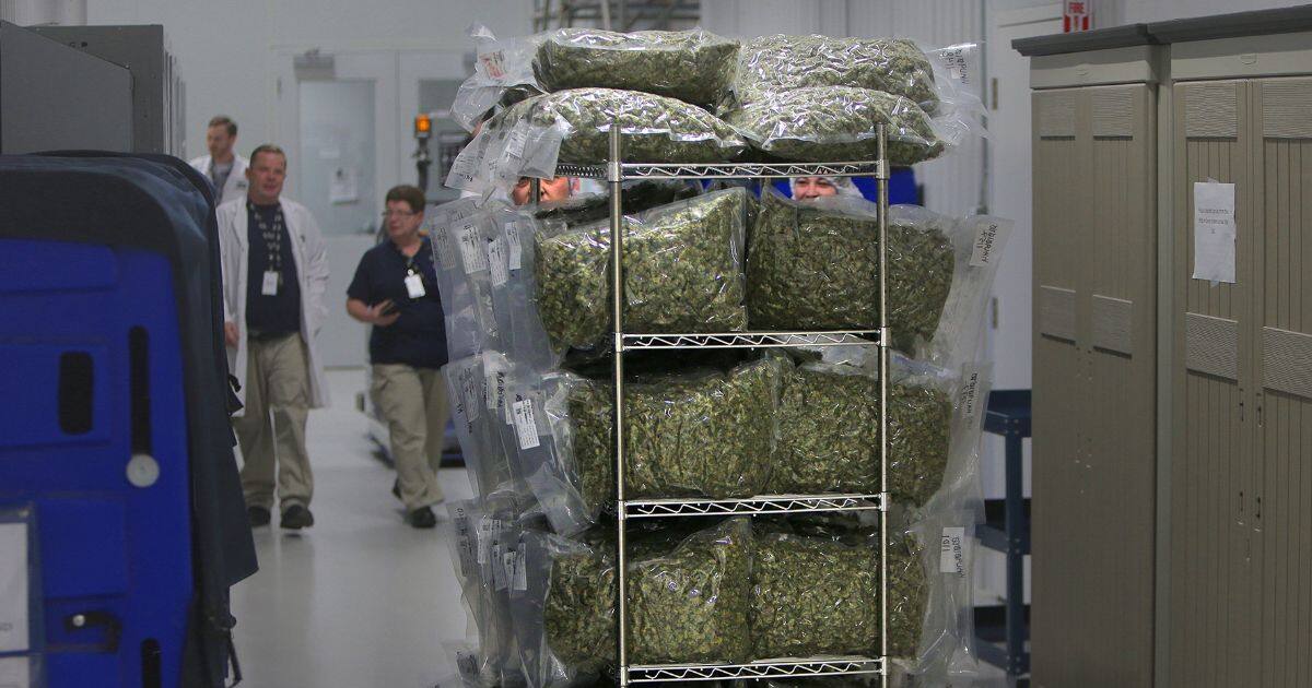Canopy Growth Seals Acquisition of Acreage Expanding U.S. Presence