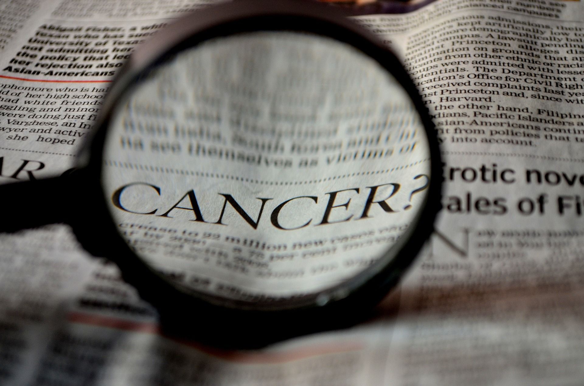 Kura Oncology Stock Slips Following Collaboration With Kyowa: Retail Turns Extremely Bullish